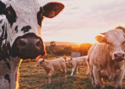 stijn-te-strake-UdhpcfImQ9Y-unsplash